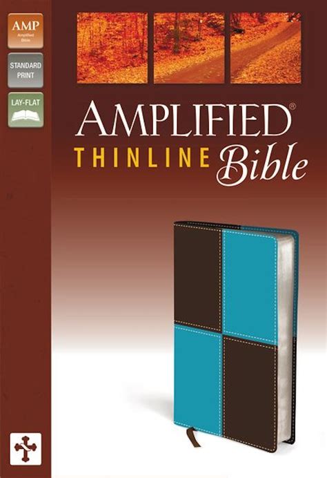 Amplified Thinline Bible Imitation Leather Blue Brown PDF