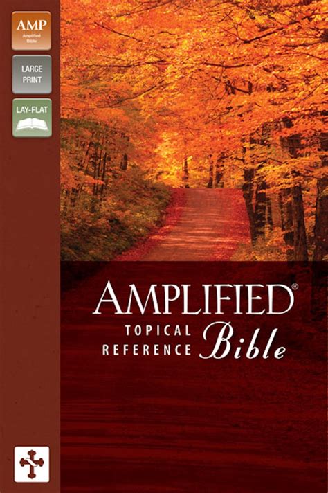 Amplified Topical Reference Bible Imitation Leather Tan Burgundy Kindle Editon
