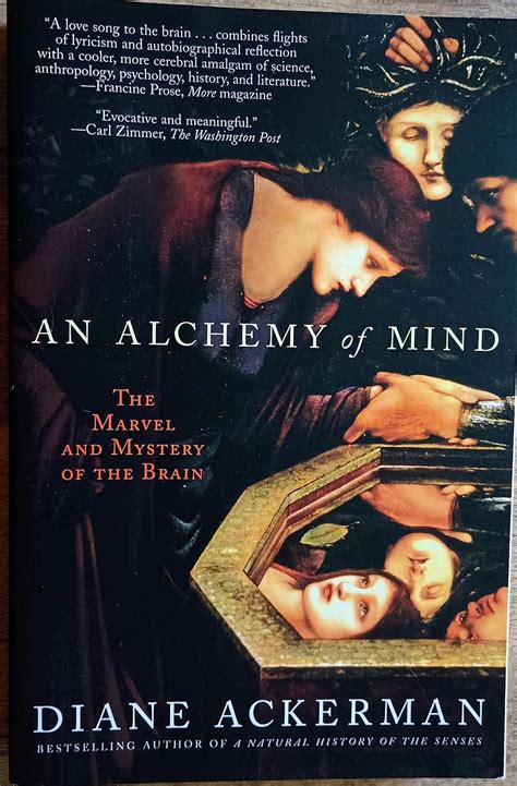 An Alchemy of Mind The Marvel and Mystery of the Brain Epub