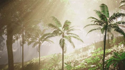 An Enchanting Tropical Jungle: A Symphony of Wonder Beneath a Verdant Canopy