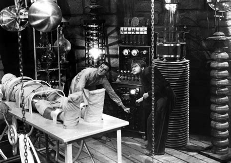 An Examination of Dr. Frankenstein's Experimentation