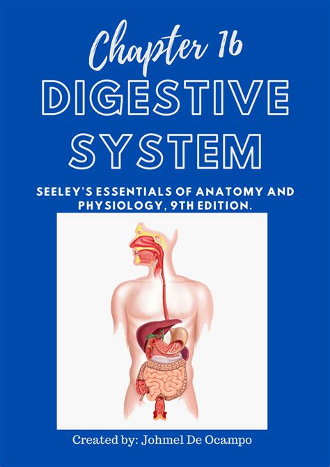 An Illustrated Review of Anatomy and Physiology The Digestive System PDF