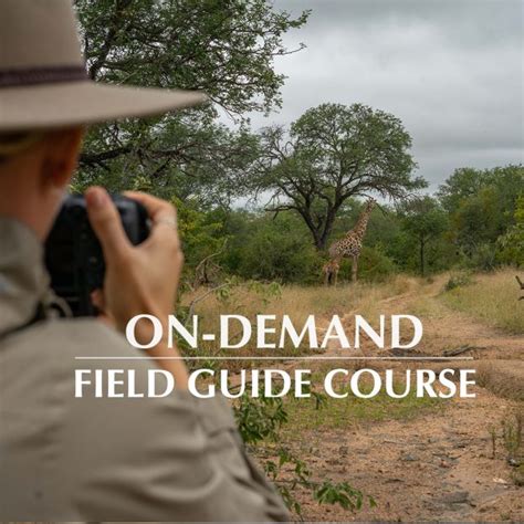 An In-Demand Field