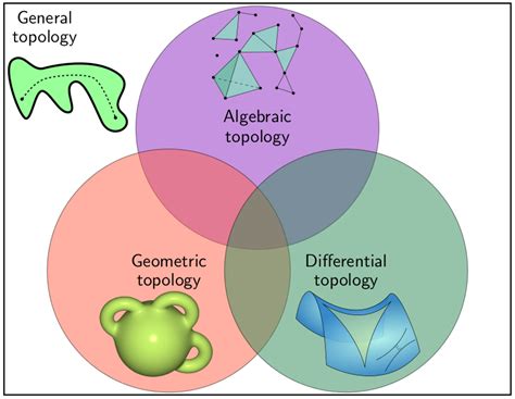 An Introduction to Algebraic Topology Reader