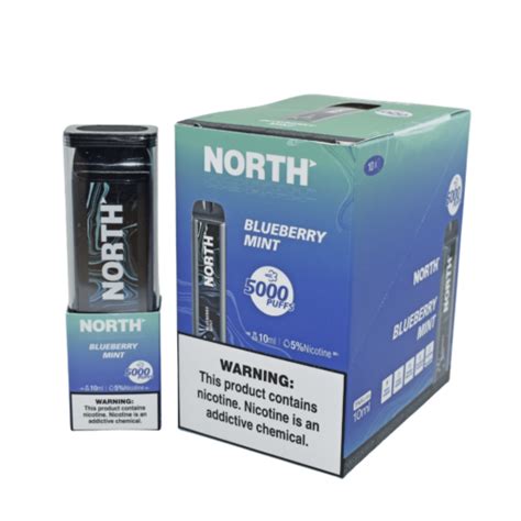 An Ode to the North Blueberry Mint Vape