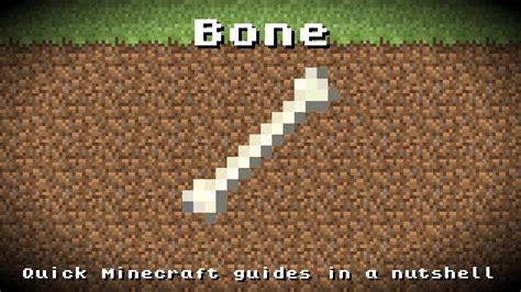 An Overview of Minecraft Bones