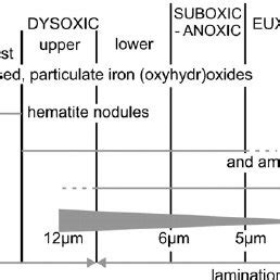 An Overview of Pyrite's Enchanting Spectrum