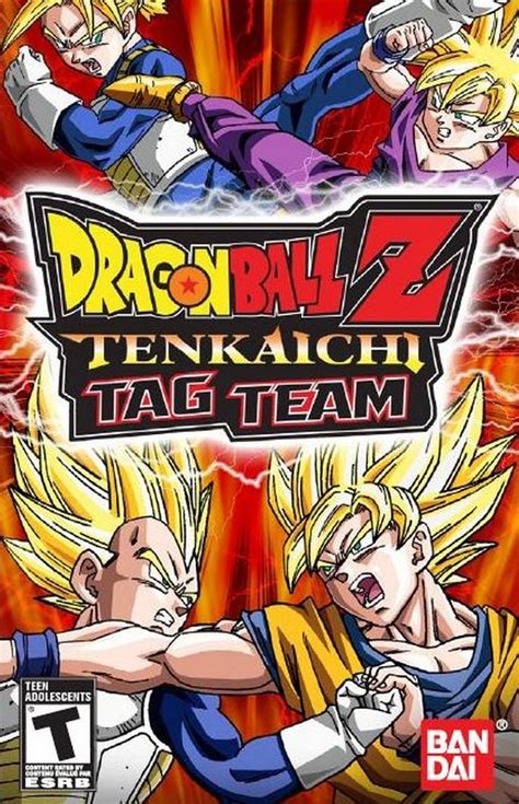 An Overview of Tenkaichi Tag Team