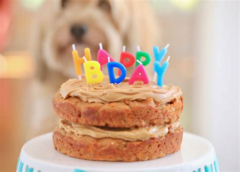 An Ultimate Guide to Delight Your Furry Friend: A Step-by-Step Dog Cake Recipe