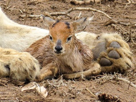 An Unlikely Bond Blossoms