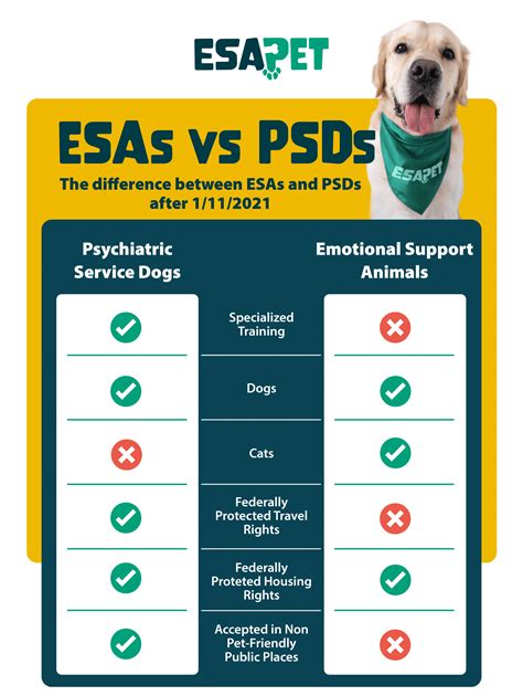 An emotional support service dog (ESSD)