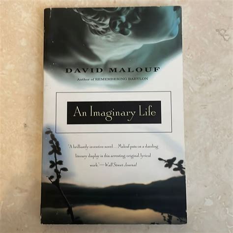 An.Imaginary.Life Ebook Doc