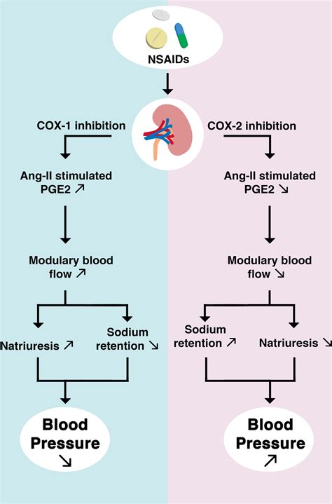 Analgesic and NSAID-induced Kidney Disease Reader