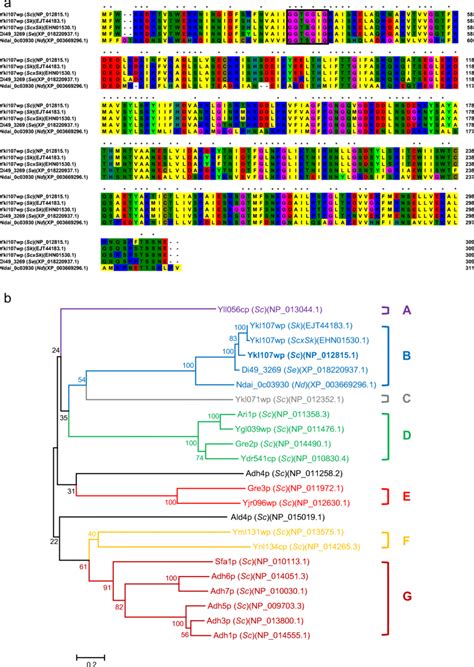 Analysis of Amino Acid Sequences Doc