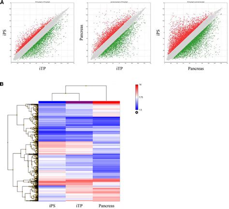 Analysis of Microarray Gene Expression Data PDF