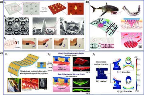 Analysis of Organic and Biological Surfaces PDF