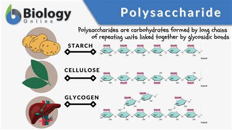 Analytical Techniques to Evaluate the Structure and Function of Natural Polysaccharides PDF
