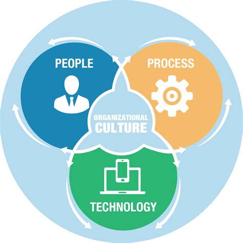 Analytics, Process, Technology, Information, Culture, and Environment