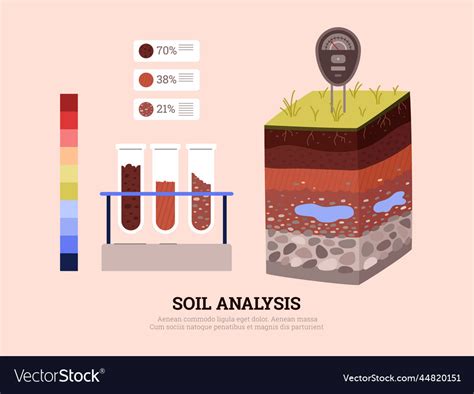 Analyze Soil Conditions: