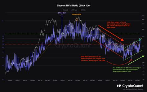 Analyzing Bitcoin Price Fluctuations