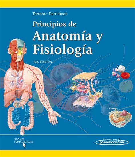 Anatomia Y Fisiologia Tortora 13 Edicion Ebook Reader