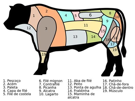 Anatomia da Carne Patinho