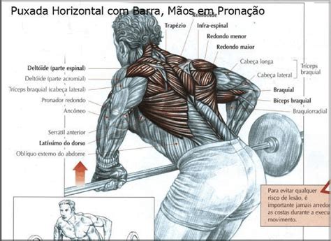 Anatomia de uma Barra para Halteres