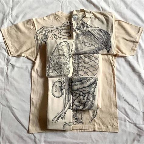 Anatomical T-Shirts: A Wearable Masterpiece of Human Anatomy