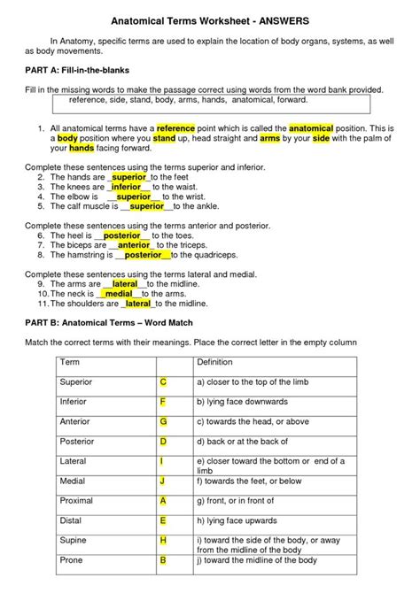 Anatomical Terms Worksheet Answer Key Epub