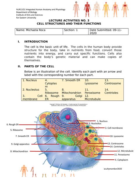 Anatomy And Physiology Cell Packet Answers PDF