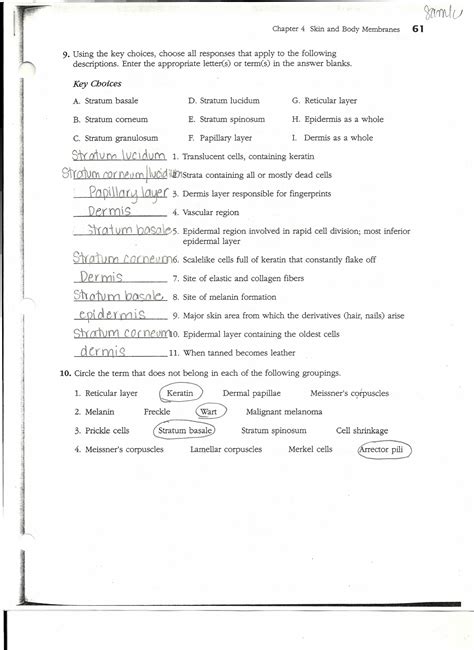 Anatomy And Physiology Coloring Workbook Answers Chapter 3 Reader