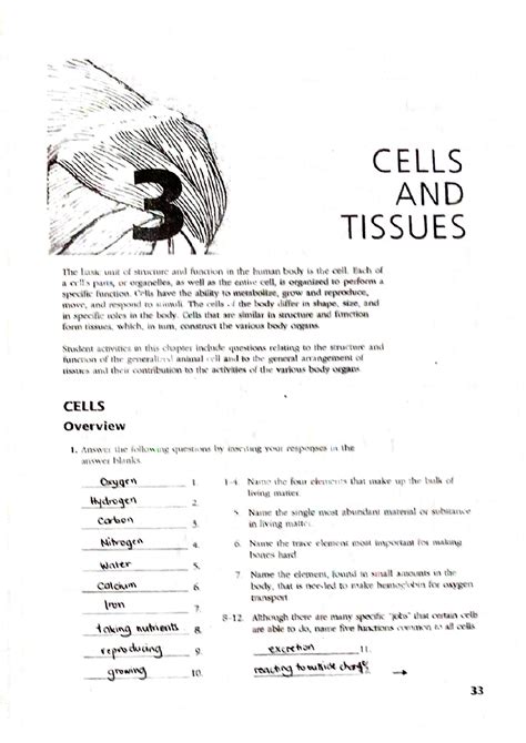 Anatomy And Physiology Coloring Workbook Cell Answers Doc