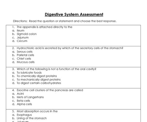 Anatomy And Physiology Digestive System Test Answers Epub