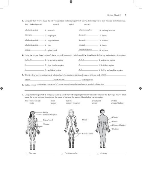 Anatomy And Physiology Exercise Lab Manual Answers Kindle Editon