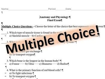 Anatomy And Physiology Final Exam Answer Key Doc