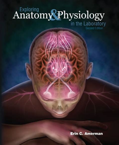 Anatomy And Physiology Lab Manual Erin Amerman Ebook Epub