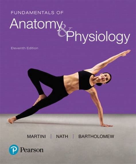 Anatomy And Physiology Study Guide Martini Nath Ebook Epub