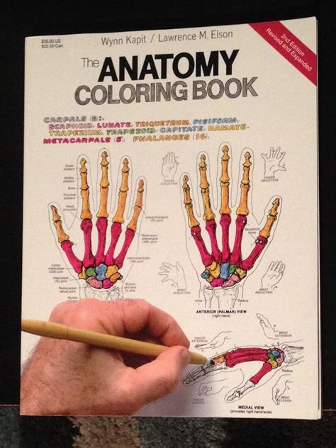 Anatomy Coloring Book Wynn Kapit Epub