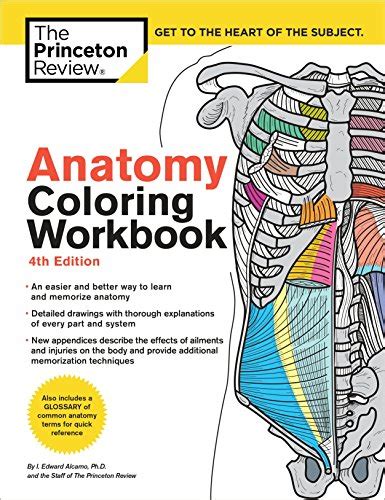 Anatomy Coloring Workbook 4th Edition An Easier and Better Way to Learn Anatomy PDF