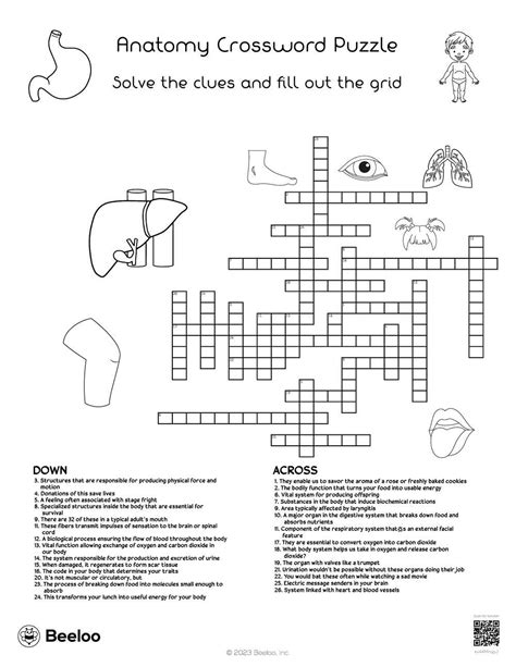 Anatomy Crossword Puzzle Answers Doc