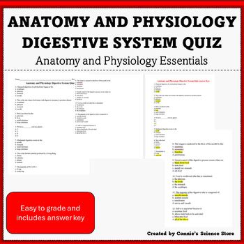 Anatomy Digestive System Quiz Answer Key Kindle Editon