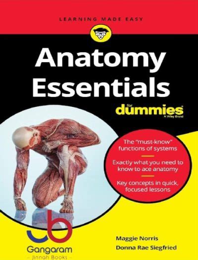 Anatomy Essentials For Dummies PDF