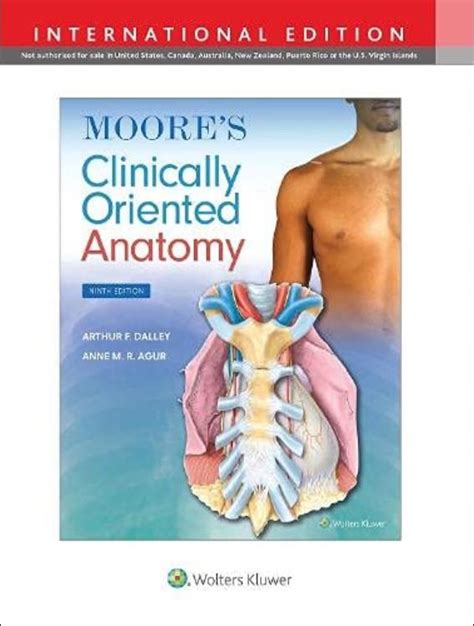 Anatomy Ninth Edition Workbook Answers PDF