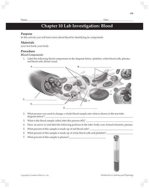 Anatomy Physiology Chapter 10 Blood Answer Key Doc