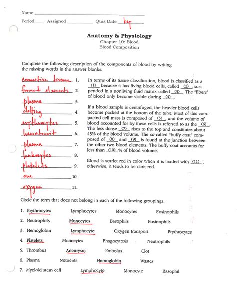 Anatomy Physiology Coloring Work Chapter 8 Answer Key Doc