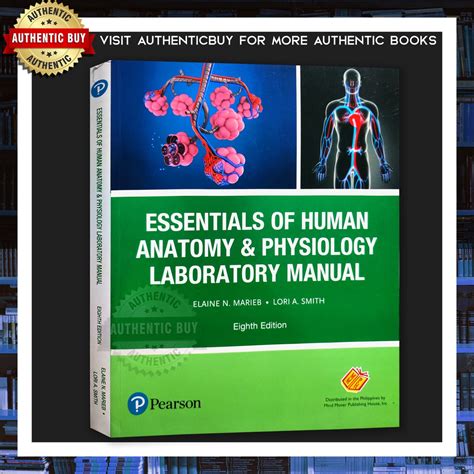 Anatomy Physiology Lab Manual Answers Marieb Epub