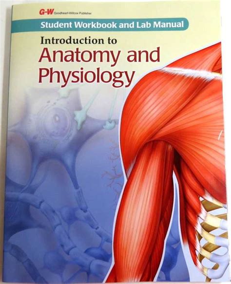 Anatomy Physiology Workbook Answers Kindle Editon