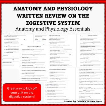 Anatomy Review Digestive System Answer Key Epub