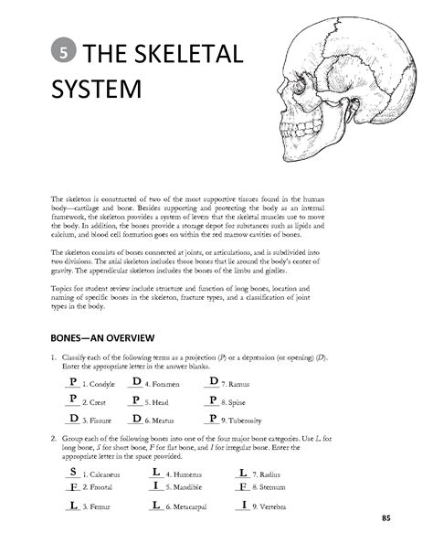 Anatomy The Skeletal System Answers Doc