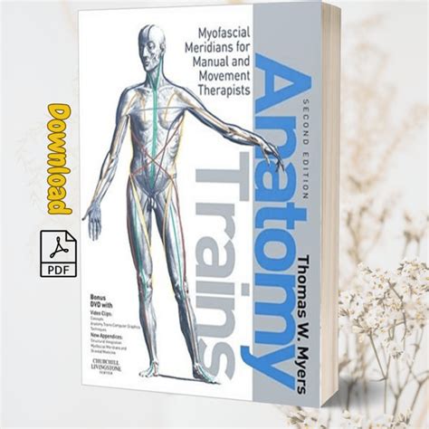 Anatomy Trains Myofascial Meridians for Manual and Movement Therapists 3e PDF